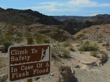 wBC-2012-day1-5 Into the canyon.jpg (351897 bytes)